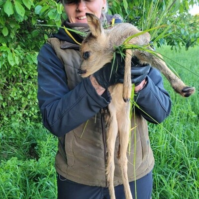 Erste Herausforderung im neuen Jagdjahr