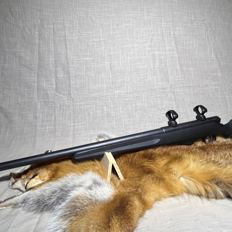 Savage Model 25 Walking Varminter in .17 Hornet 